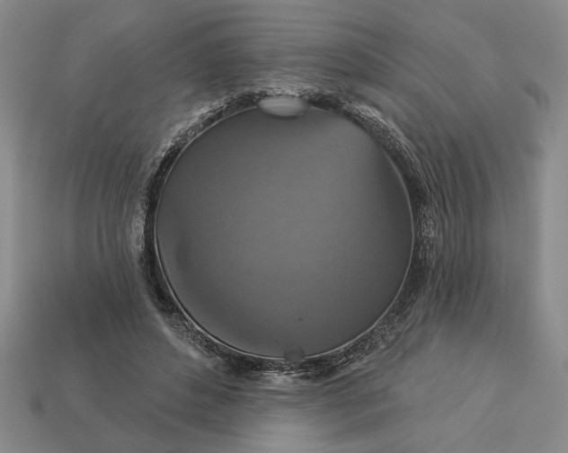 X0000113360496200909291033