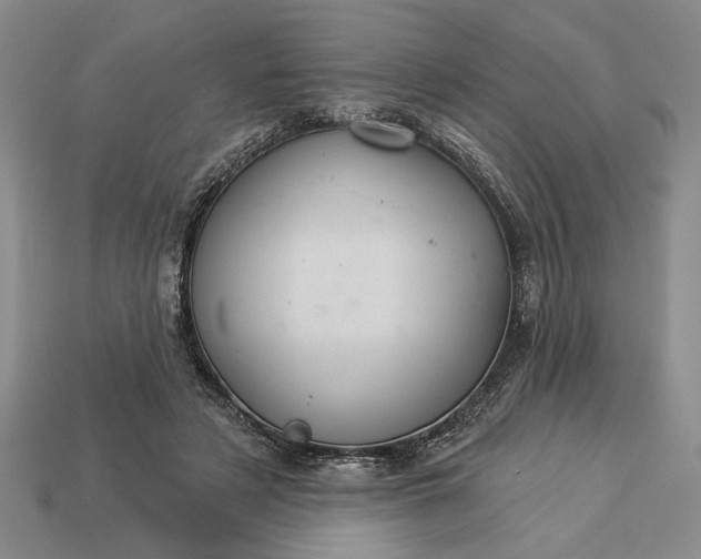 X0000113360497200909291033