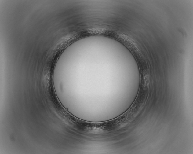 X0000113360498200909291033