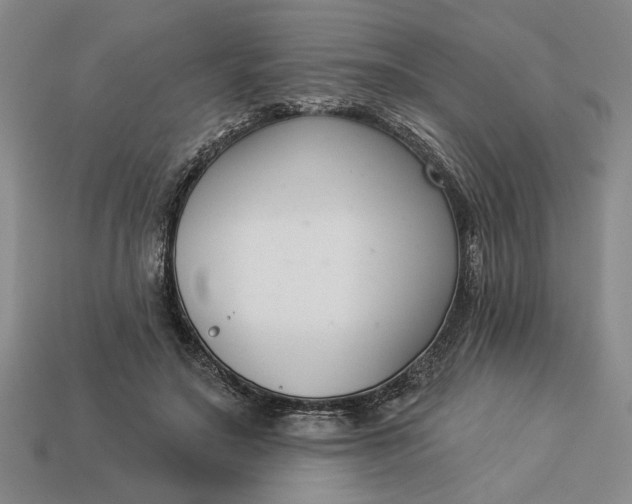 X0000113360499200909291033