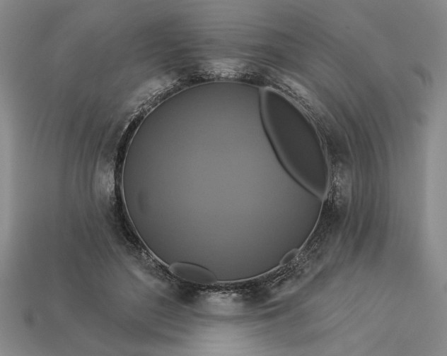 X0000113360500200909291033