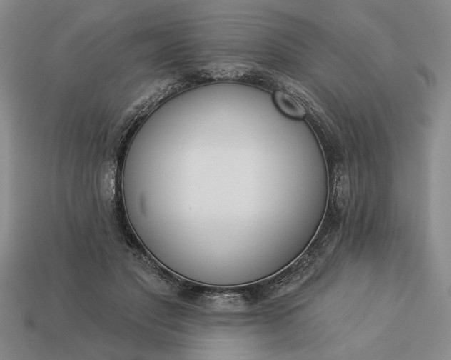 X0000113360501200909291033