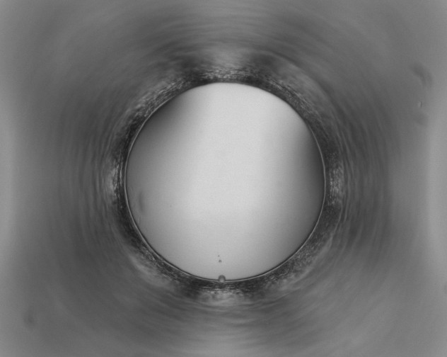 X0000113360503200909291033