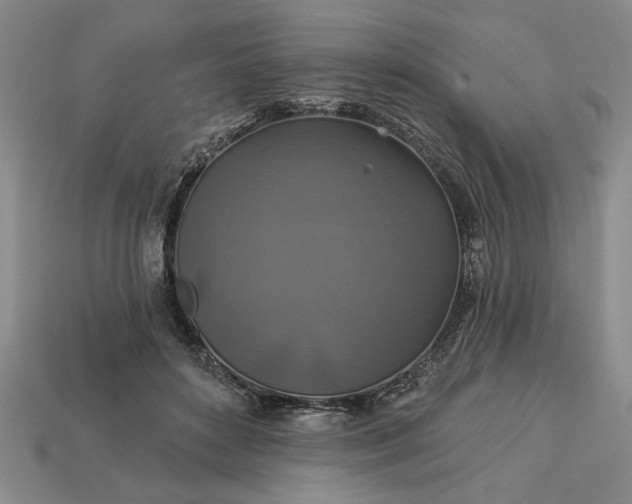 X0000113360504200909291033