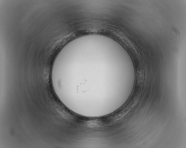 X0000113360505200909291033