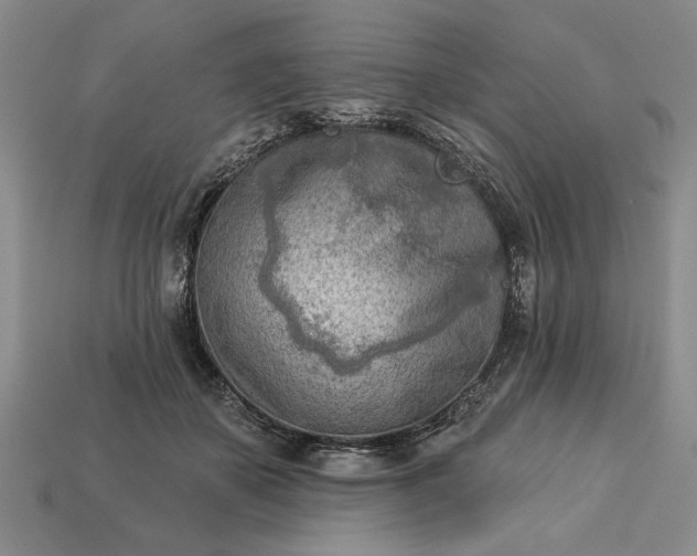 X0000113360507200909291033