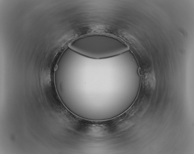 X0000113360508200909291033