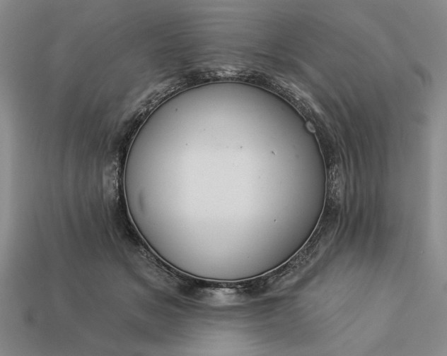 X0000113360509200909291033