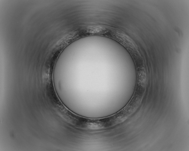 X0000113360510200909291033