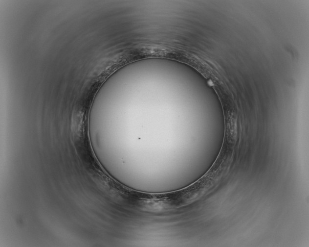 X0000113360511200909291033