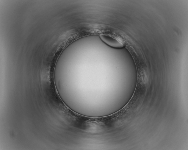 X0000113360512200909291033