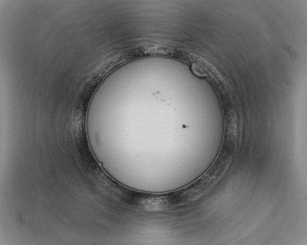 X0000113360513200909291033