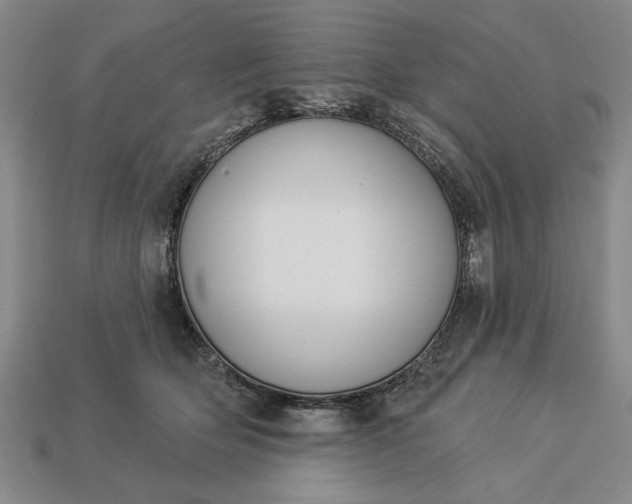 X0000113360514200909291033