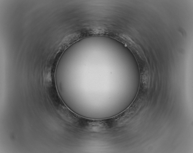 X0000113360516200909291032