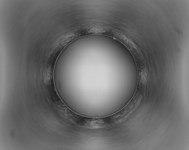 X0000113360517200909291032