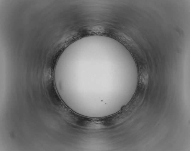 X0000113360518200909291032