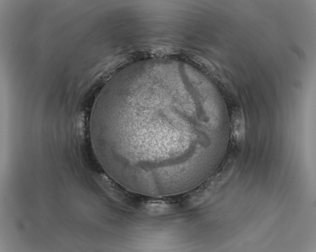 X0000113360519200909291032