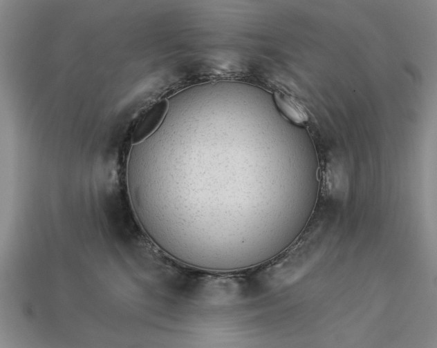 X0000113360520200909291032