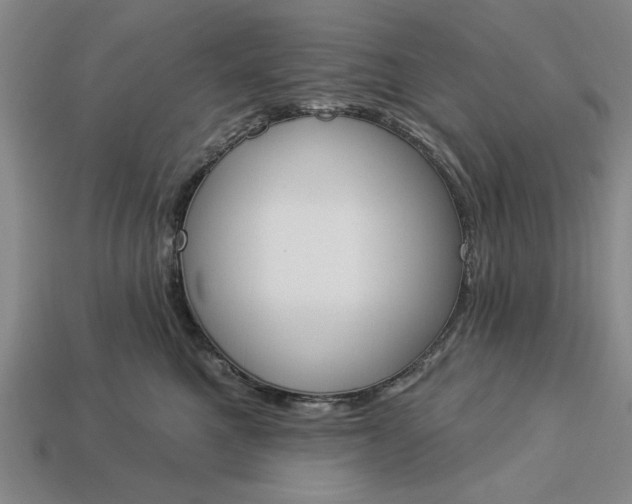 X0000113360521200909291032