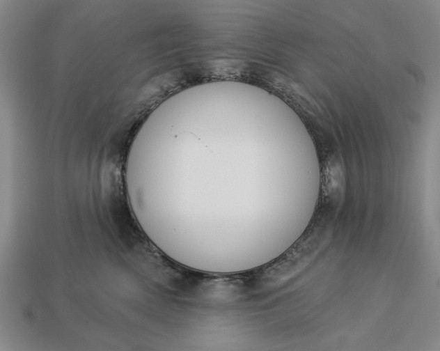 X0000113360522200909291032