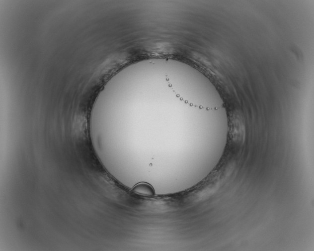 X0000113360523200909291032