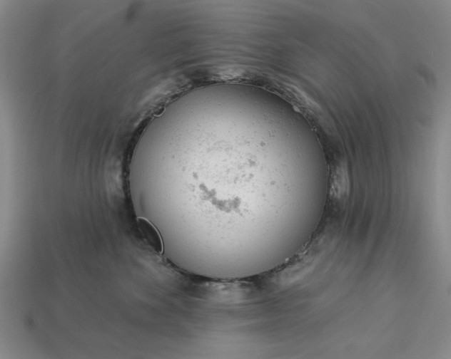 X0000113360524200909291032