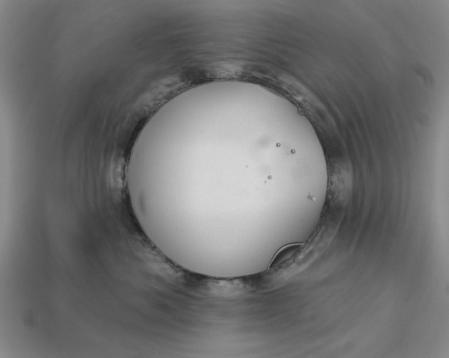 X0000113360525200909291032