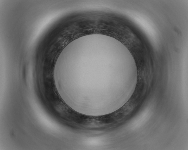 X0000113360526200909291032