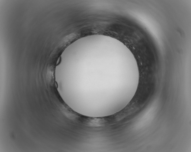 X0000113360527200909291032