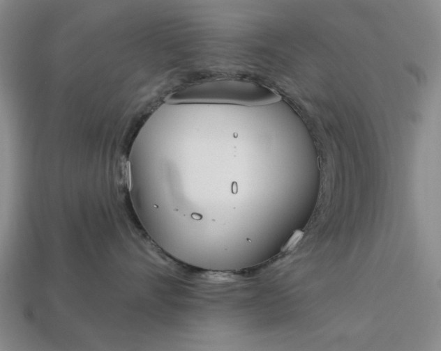 X0000113360528200909291032