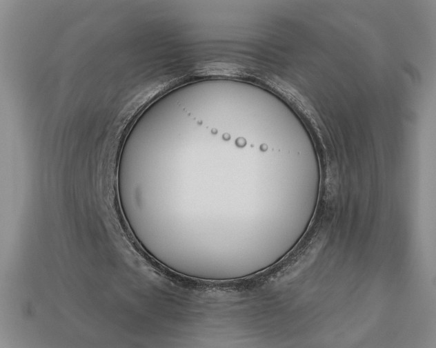 X0000113360529200909291032