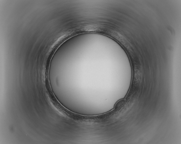 X0000113360530200909291032