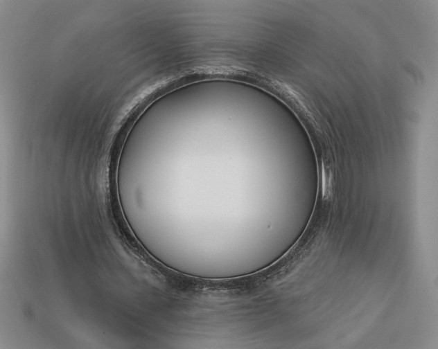 X0000113360531200909291032