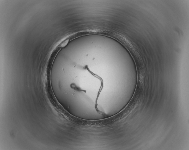 X0000113360532200909291032