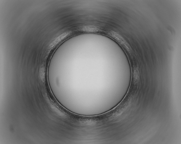 X0000113360533200909291032