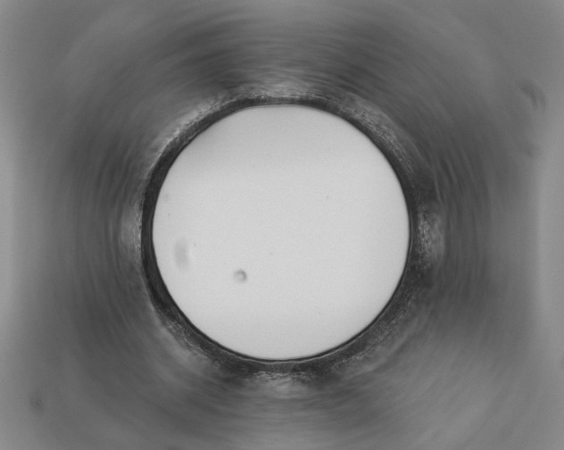 X0000113360534200909291032