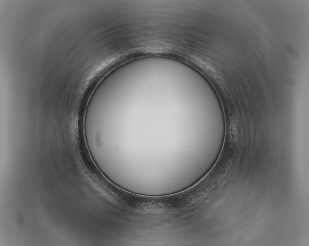 X0000113360535200909291032