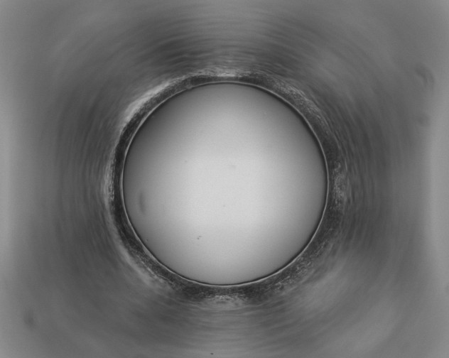 X0000113360536200909291032