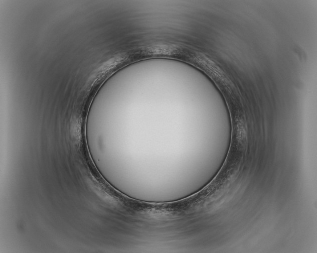 X0000113360537200909291032