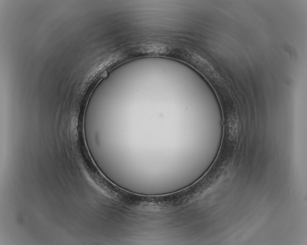 X0000113360538200909291032