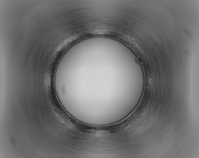 X0000113360539200909291032