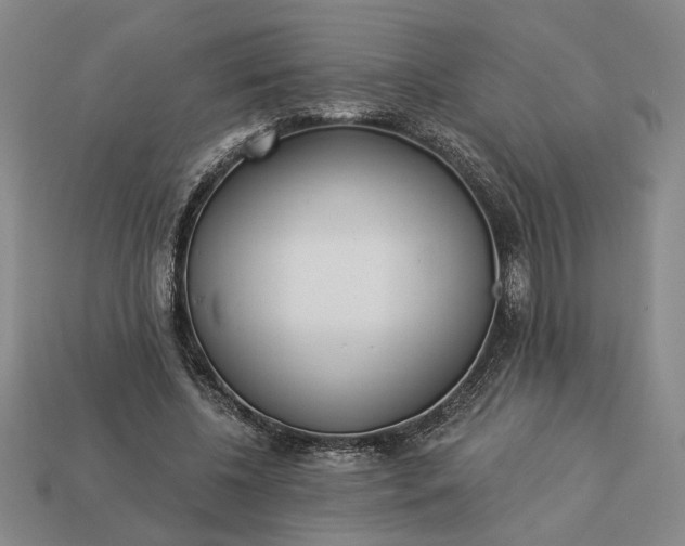 X0000113360540200909291032