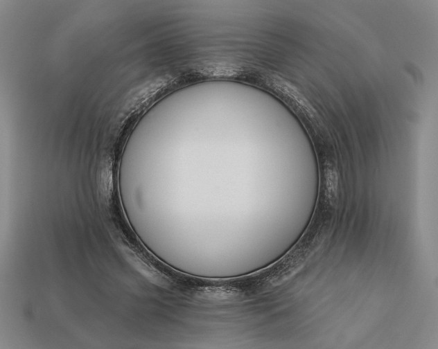 X0000113360541200909291032