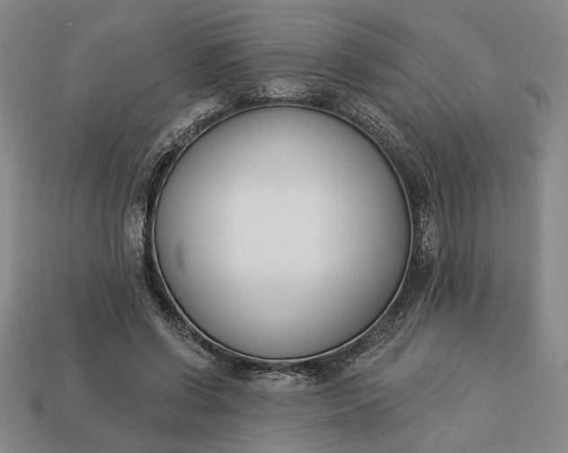 X0000113360542200909291032