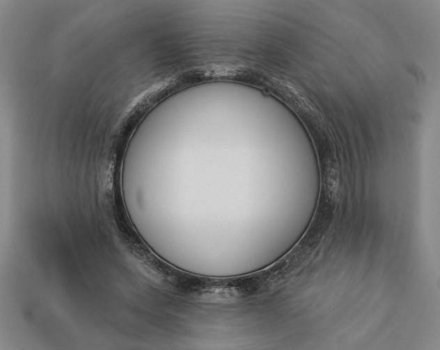 X0000113360543200909291032