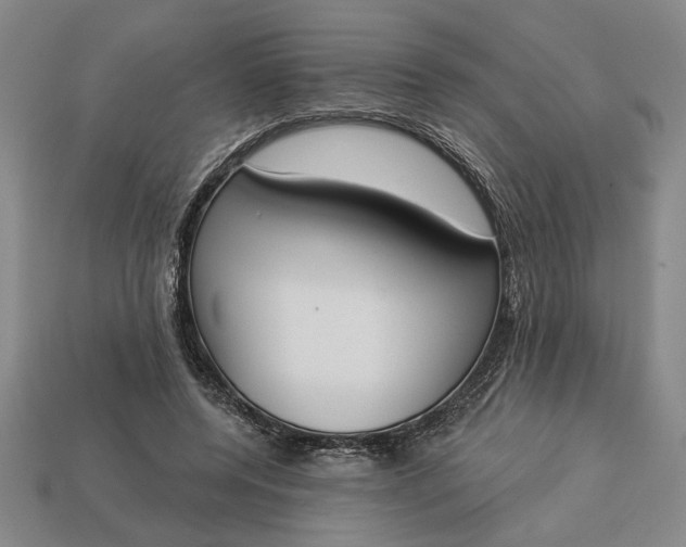 X0000113360544200909291032