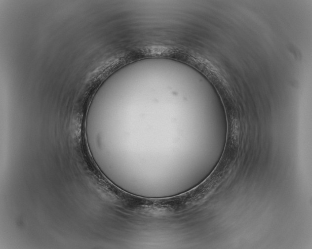 X0000113360545200909291032