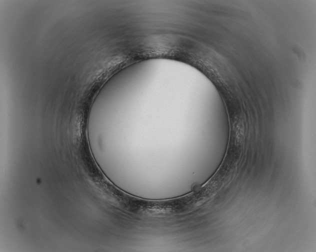 X0000113360546200909291032