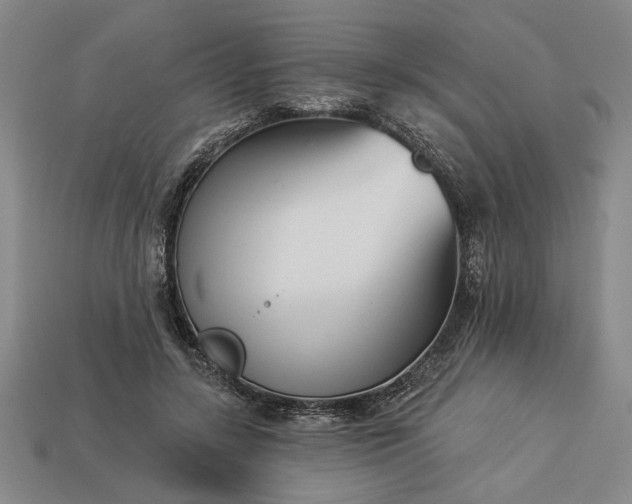 X0000113360547200909291032