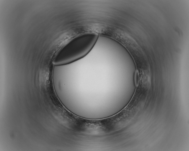 X0000113360548200909291032